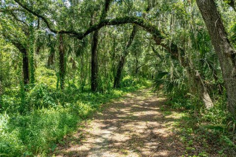 Land in Lake Wales, Florida № 1894849 - photo 27
