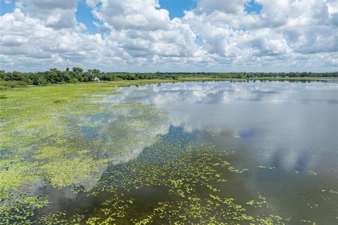 Land in Lake Wales, Florida № 1894849 - photo 19