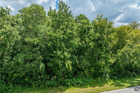 Land in Lake Wales, Florida № 1894849 - photo 23
