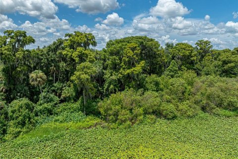 Land in Lake Wales, Florida № 1894849 - photo 18