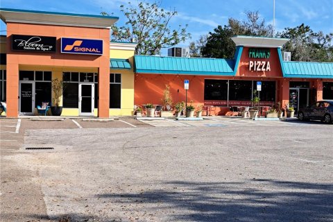 Immobilier commercial à vendre à Dunedin, Floride: 769.88 m2 № 1640852 - photo 5
