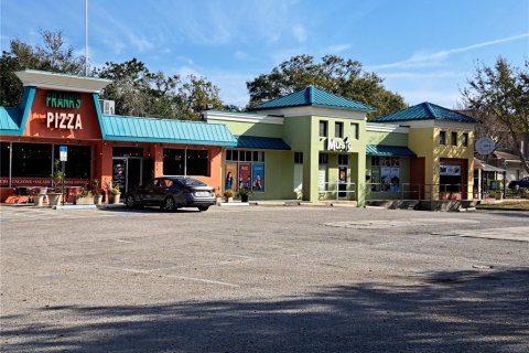 Immobilier commercial à vendre à Dunedin, Floride: 769.88 m2 № 1640852 - photo 4