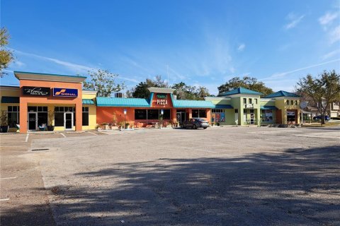 Immobilier commercial à vendre à Dunedin, Floride: 769.88 m2 № 1640852 - photo 3