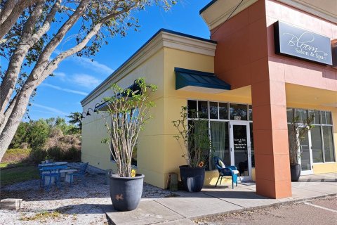 Immobilier commercial à vendre à Dunedin, Floride: 769.88 m2 № 1640852 - photo 11