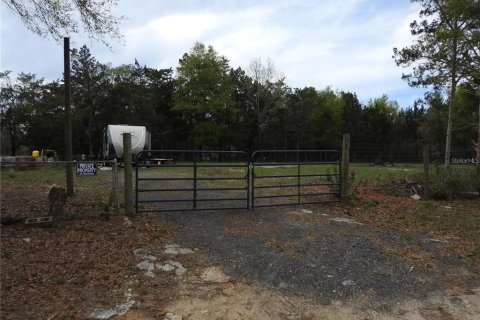 Land in Interlachen, Florida № 2364352