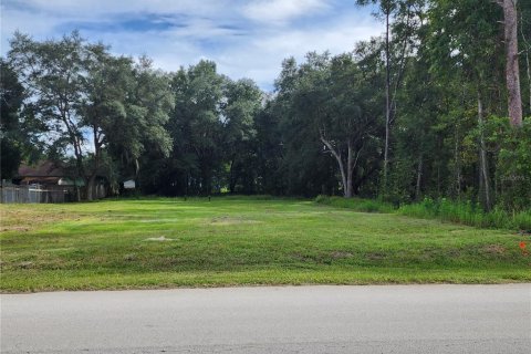 Land in Ocala, Florida № 2349808