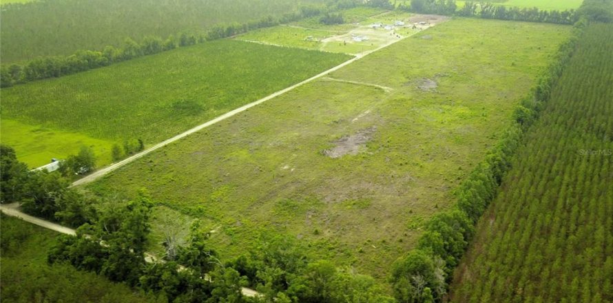 Land in Live Oak, Florida № 1786417