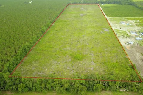 Land in Live Oak, Florida № 1786417 - photo 2