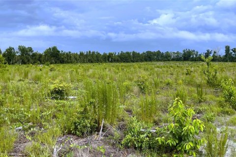 Land in Live Oak, Florida № 1786417 - photo 7
