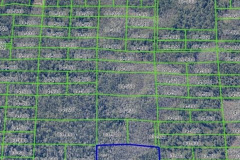 Land in Christmas, Florida № 2163738