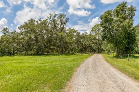 Terreno en venta en Bunnell, Florida № 1918887 - foto 7