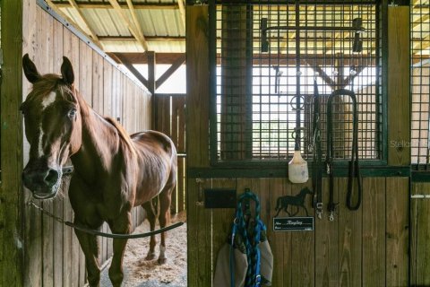 Terreno en venta en Bunnell, Florida № 1918887 - foto 19