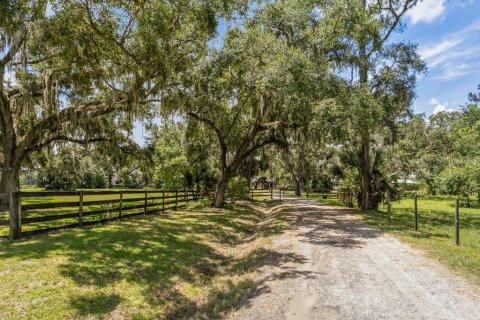 Terreno en venta en Bunnell, Florida № 1918887 - foto 8