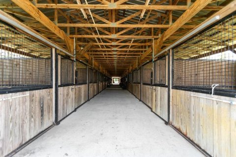 Terreno en venta en Bunnell, Florida № 1918887 - foto 16