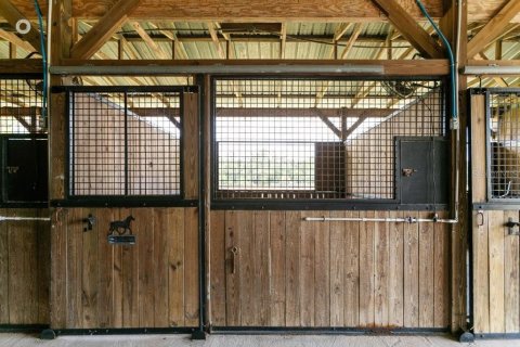 Terreno en venta en Bunnell, Florida № 1918887 - foto 17