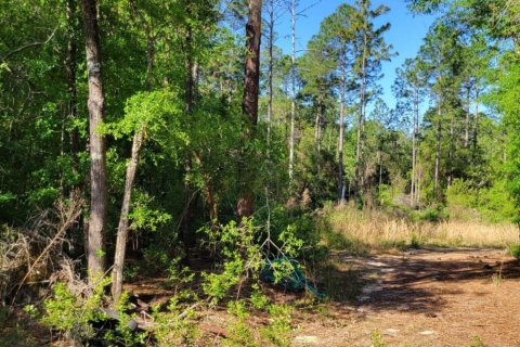Land in Mossy Head, Florida № 561358 - photo 1