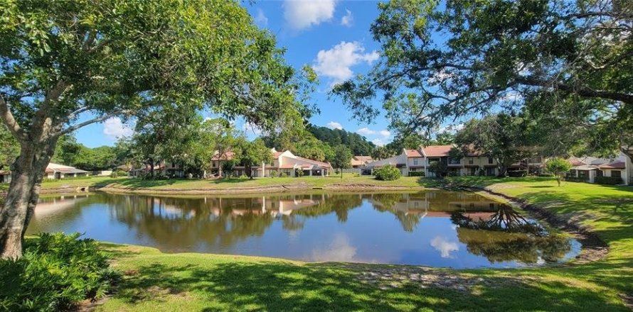 Condo à Palm Harbor, Floride, 2 chambres № 1680127