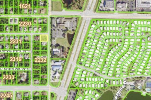 Land in Port Charlotte, Florida № 2162692 - photo 5