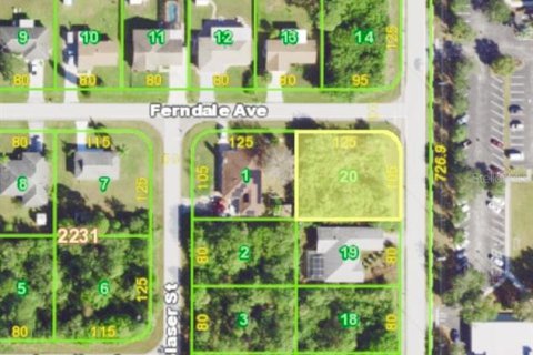 Land in Port Charlotte, Florida № 2162692 - photo 8