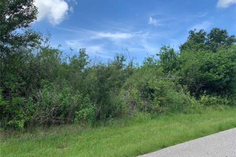 Land in Port Charlotte, Florida № 2162692