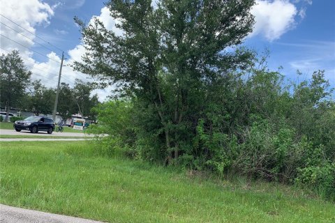 Land in Port Charlotte, Florida № 2162692 - photo 2