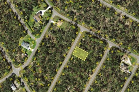 Land in Port Charlotte, Florida № 2162701 - photo 10