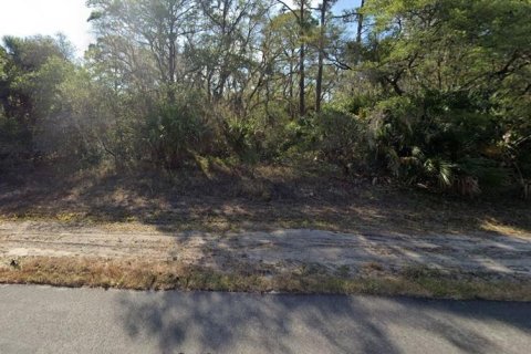 Land in Port Charlotte, Florida № 2162701 - photo 8