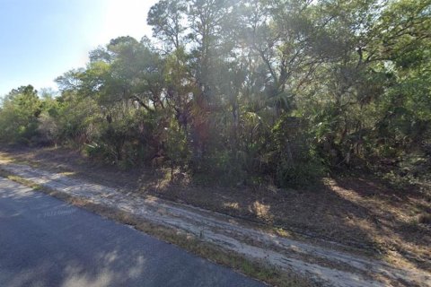 Land in Port Charlotte, Florida № 2162701 - photo 7