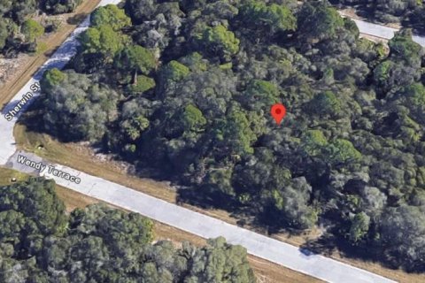 Land in Port Charlotte, Florida № 2162701 - photo 2