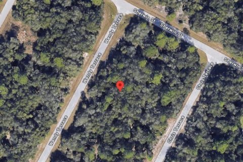 Land in Port Charlotte, Florida № 2162701 - photo 5