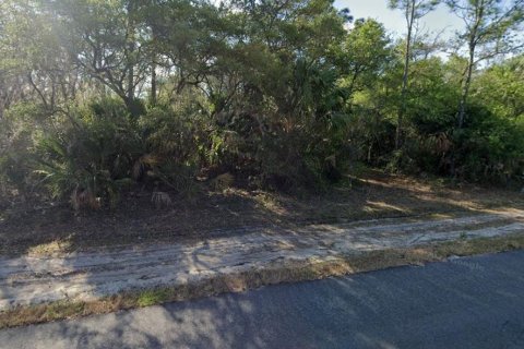 Land in Port Charlotte, Florida № 2162701 - photo 6