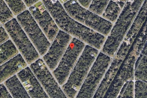 Land in Port Charlotte, Florida № 2162701 - photo 4