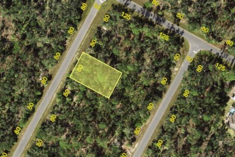 Land in Port Charlotte, Florida № 2162701 - photo 3