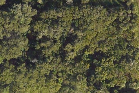 Купить земельный участок в Ориндж-Сити, Флорида № 1336515 - фото 1