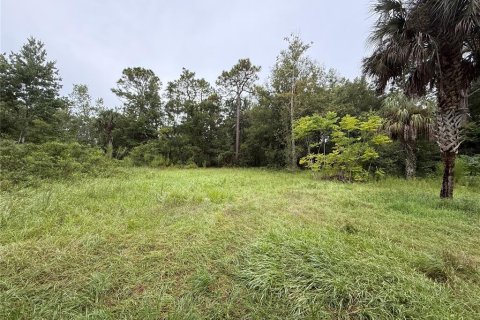 Terrain à vendre à Homosassa, Floride № 2218342 - photo 4