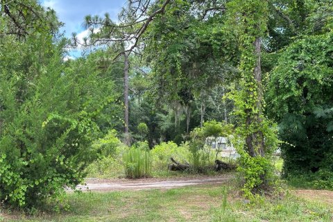 Terrain à vendre à Homosassa, Floride № 2218342 - photo 11