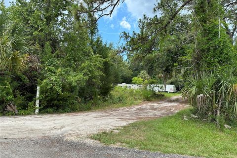 Terrain à vendre à Homosassa, Floride № 2218342 - photo 5