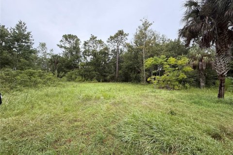 Terrain à vendre à Homosassa, Floride № 2218342 - photo 2