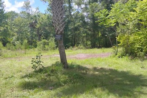 Terrain à vendre à Homosassa, Floride № 2218342 - photo 28