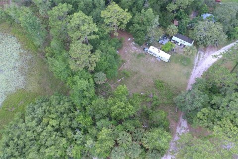 Terrain à vendre à Homosassa, Floride № 2218342 - photo 16