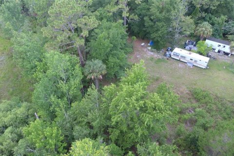 Terrain à vendre à Homosassa, Floride № 2218342 - photo 15