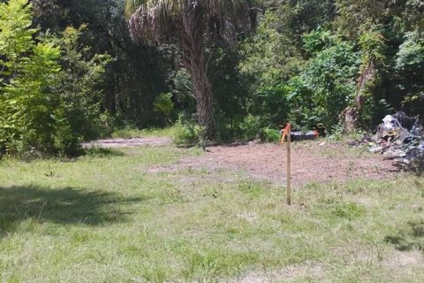 Terrain à vendre à Homosassa, Floride № 2218342 - photo 29