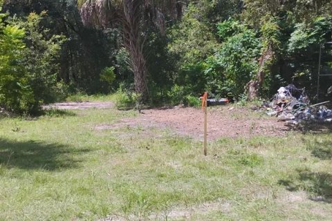 Terrain à vendre à Homosassa, Floride № 2218342 - photo 30