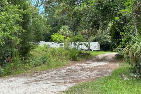 Terrain à vendre à Homosassa, Floride № 2218342 - photo 8