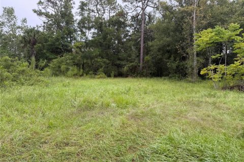Terrain à vendre à Homosassa, Floride № 2218342 - photo 3