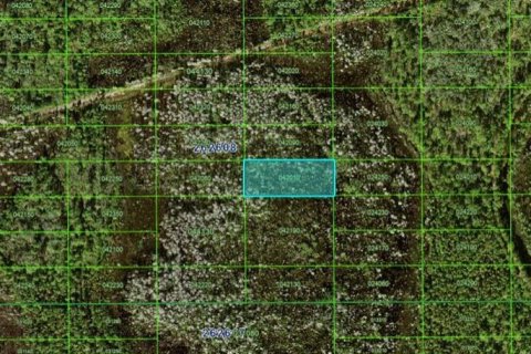 Land in Polk City, Florida № 2163755