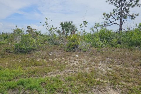 Land in Port Charlotte, Florida № 644354 - photo 2