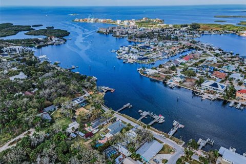 Villa ou maison à vendre à Port Richey, Floride: 5 chambres, 325.62 m2 № 2147729 - photo 9