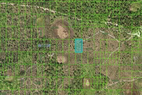 Land in Frostproof, Florida № 2163771 - photo 3