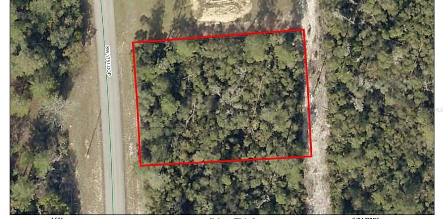Terrain à Ocala, Floride № 1749440